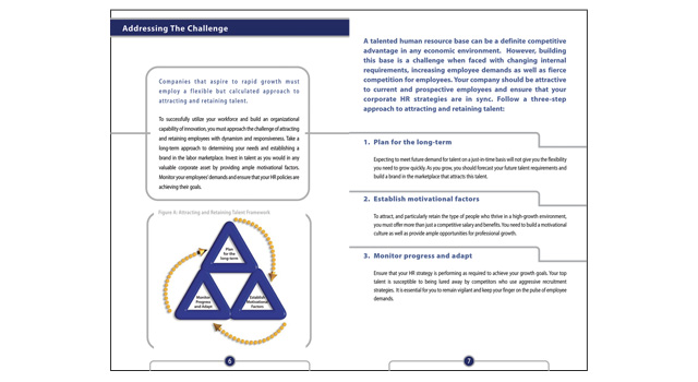Deloitte consulting booklets, image 2