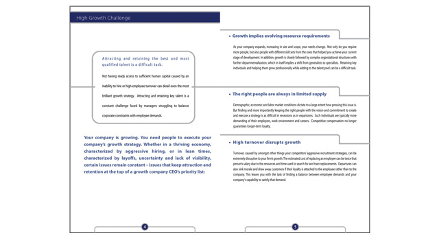 Deloitte consulting booklets, image 3